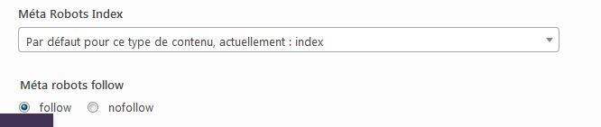Comment obtenir plus de trafic sur votre site WordPress : Indexer ses articles sur Google