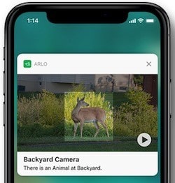 Caméra Arlo Pro détection des animaux