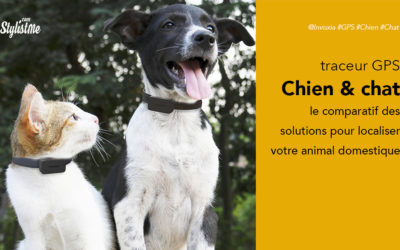 Meilleur traceur GPS chien chat : comparatif 2021 et guide d’achat