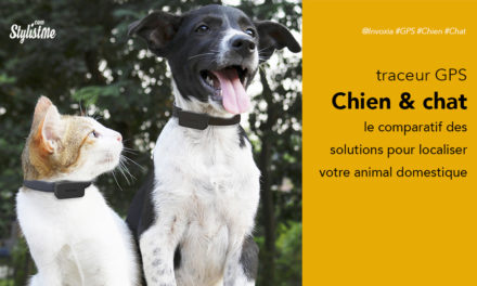 Meilleur traceur GPS chien chat : comparatif 2021 et guide d’achat