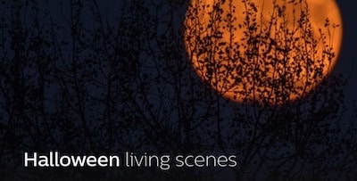 Halloween Living scene Philips Hue