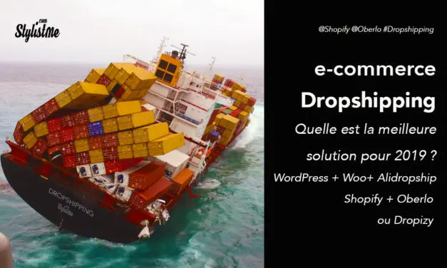 Dropshipping comparatif des 3 solutions ecommerce : WordPress, Shopify ou Dropizi