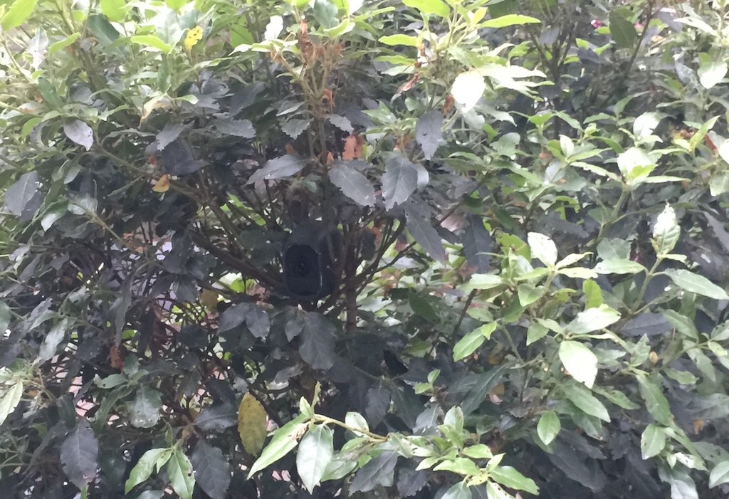 Arlo Pro camouflage jardin