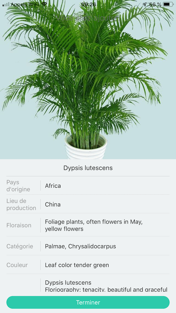 fiche plante Flower Care et Mi Plant Flower