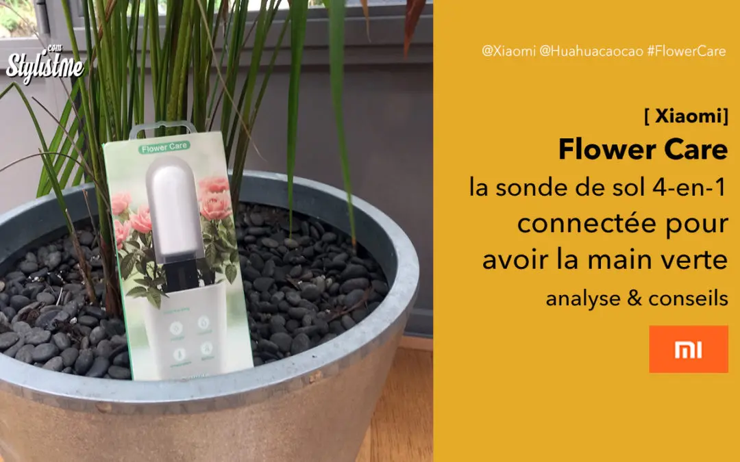 Flower Care test sonde de sol connectée pour vos plantes