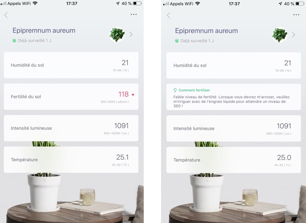 Test Flower Care suivi plante connectee