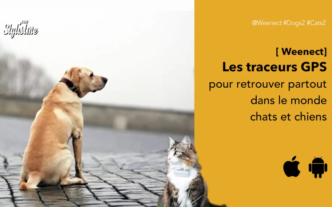 Weenect avis test prix du traceur GPS pour retrouver votre chien ou chat