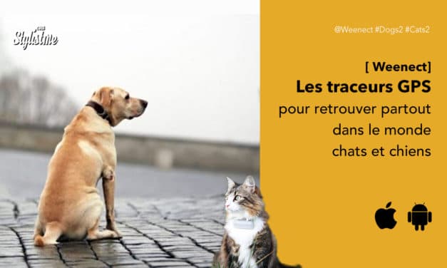 Weenect avis test prix du traceur GPS pour retrouver votre chien ou chat