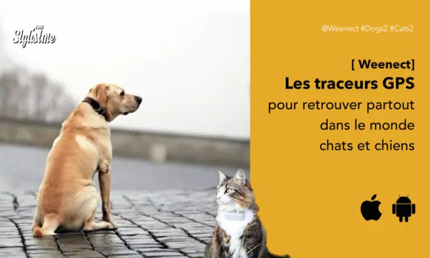 Weenect avis test prix du traceur GPS pour retrouver votre chien ou chat