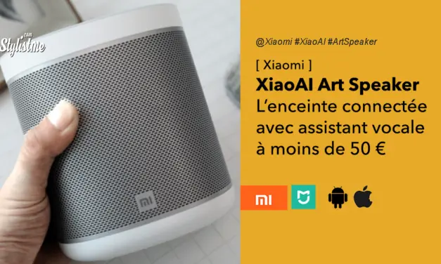 Xiaomi Art Speaker enceinte Wi-Fi et Bluetooth avec Google Assistant