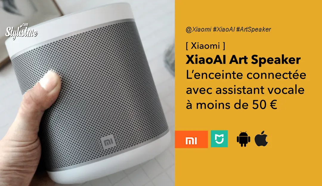 Xiaomi XiaoAI Art Speaker enceinte connectée assistant