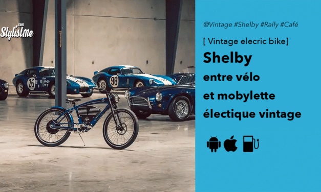 Vintage Electric Bike entre vélo et mobylette électrique au style roadster