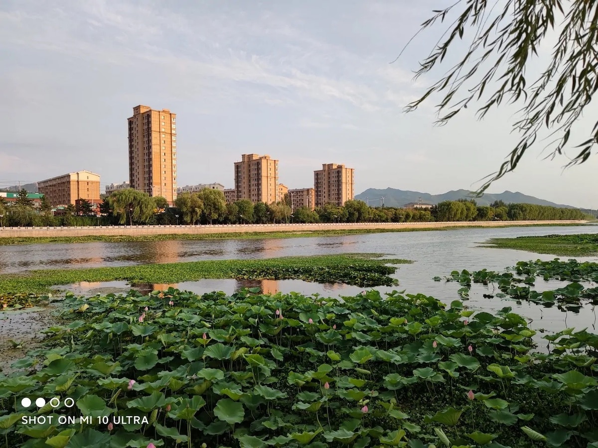 Xiaomi mi 10 ultra grand angle photo