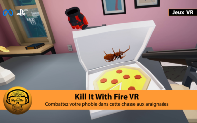 Kill It With Fire VR le jeu anti arachnophobie en réalité virtuelle