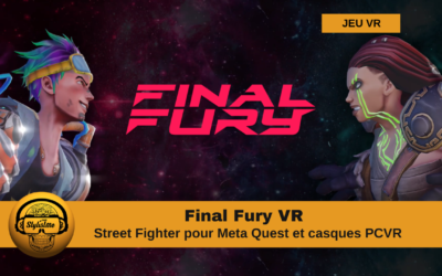 Final Fury un Street Fighter like en VR sur Quest et PCVR