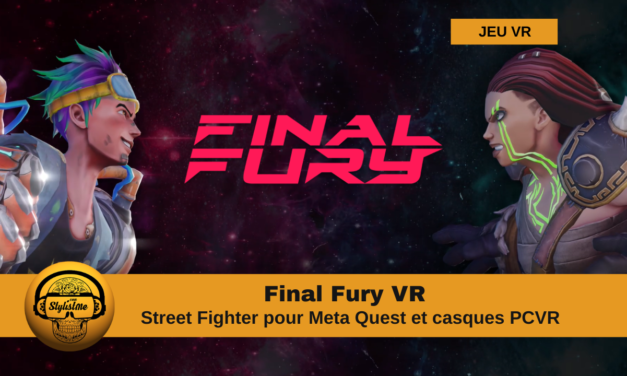 Final Fury un Street Fighter like en VR sur Quest et PCVR