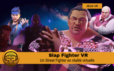 Slap Fighter VR pour casques Meta Quest, PCVR PSVR 2