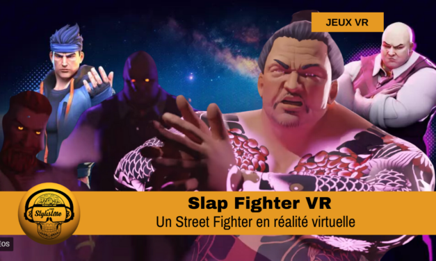 Slap Fighter VR pour casques Meta Quest, PCVR PSVR 2