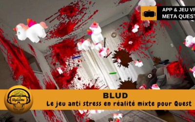 BLUD un jeu en réalité mixte pour Meta Quest totalement barré