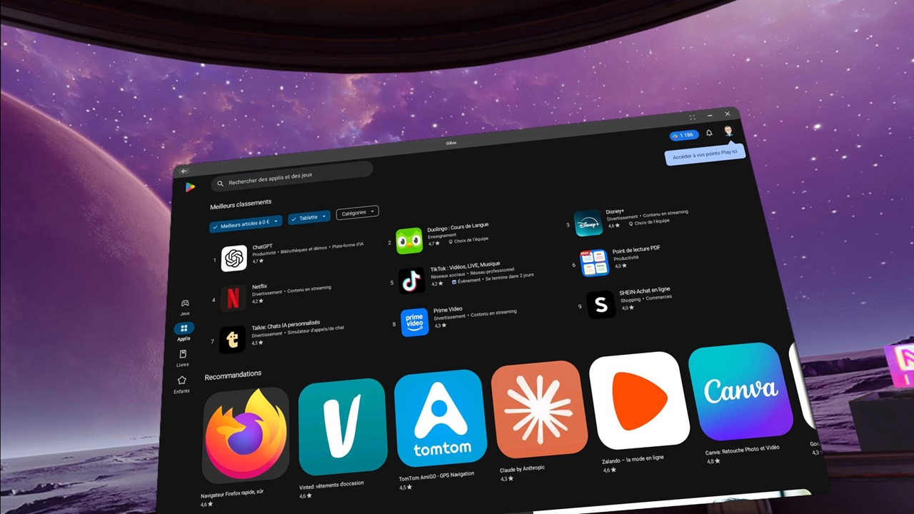 Play Store dans Meta Quest