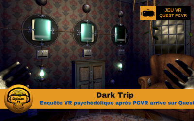 Dark Trip enquête psychédélique et hallucinogène Quest et PCVR