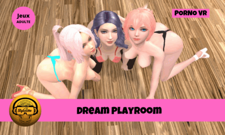Dream Playroom : votre chambre à fantasmes en réalité virtuelle