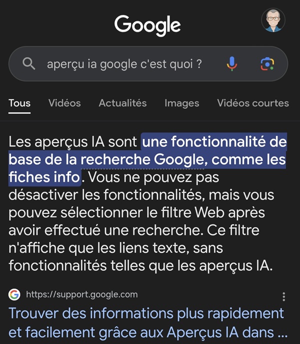 Google ne se résume pas avec son IA