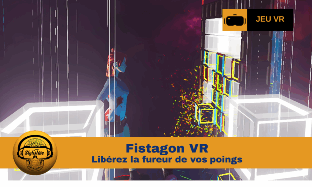 Fistagon VR : sport de combat du futur