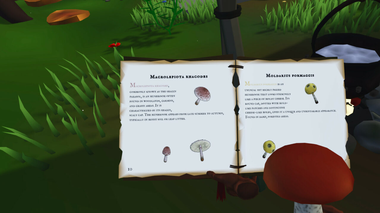 Shroomer avis