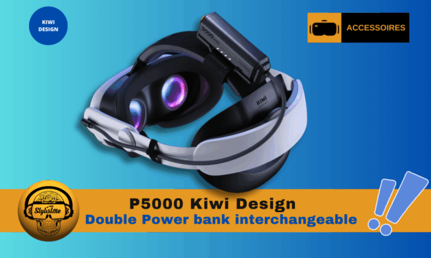 Kiwi Design P5000 double batterie interchangeable rechargeable