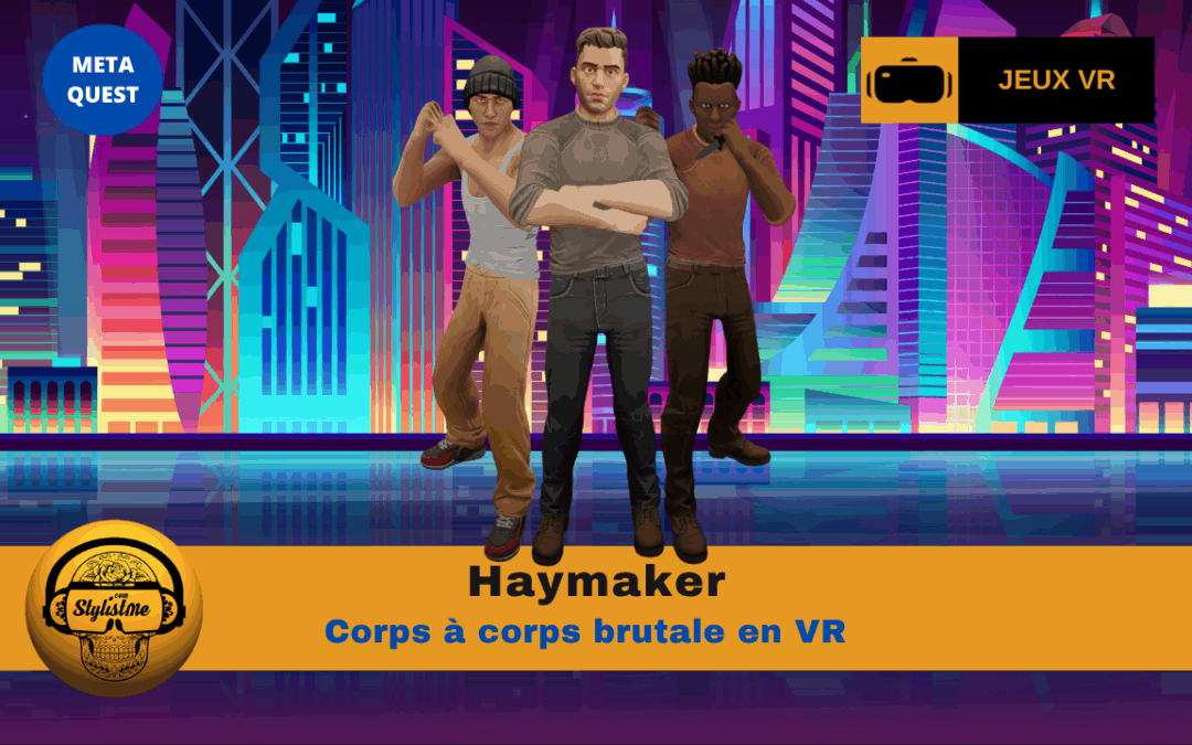 Haymaker, combat VR physique et ragdoll immersif