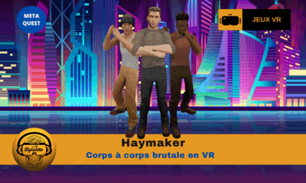 Haymaker, combat VR physique et ragdoll immersif