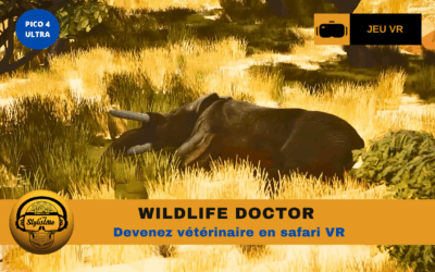 Wildlife doctor : soin animalier en VR immersive