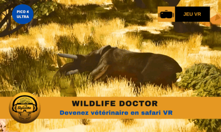 Wildlife doctor : soin animalier en VR immersive