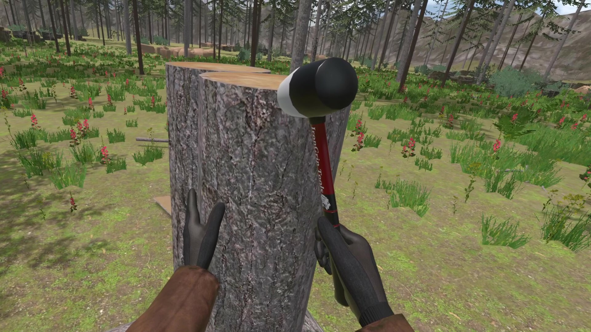 Forest Construction VR test Forest Construction VR test