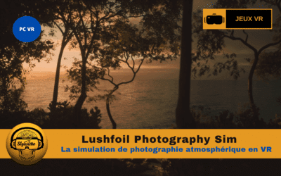 Lushfoil Photography Sim : photo-exploration et immersion visuelle