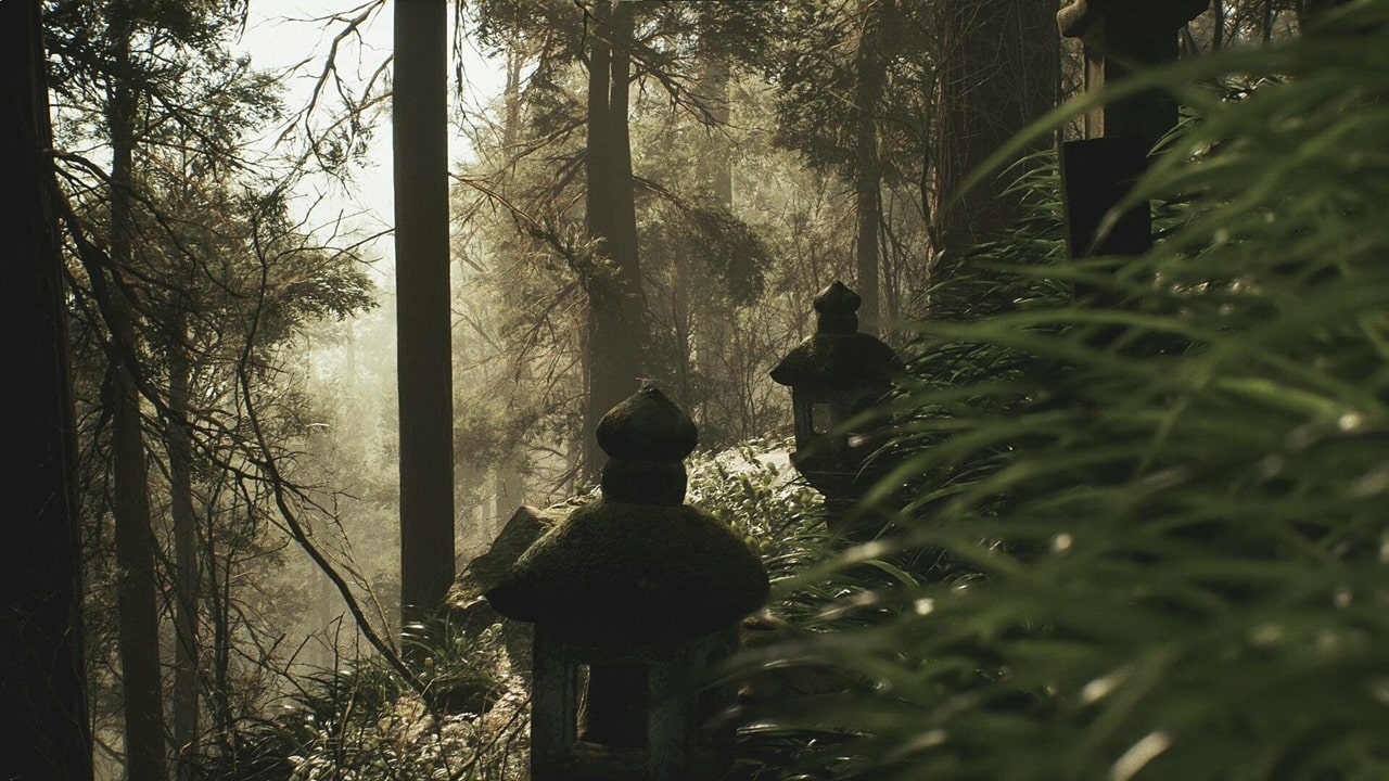 Lushfoil Photography Sim VR