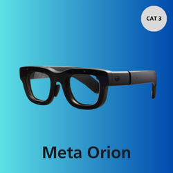 Meta Orion