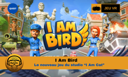 I Am Bird : le nouveau meilleur jeu VR 2025 (noté 5/5 !)