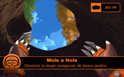 Mole a Hole : jouez à la taupe et creusez pour tout ravager