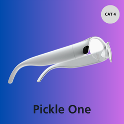Pickle 1