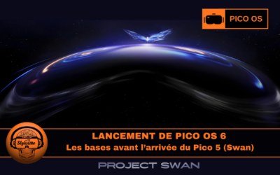Pico OS 6 les bases pour Pico 5 (Swan)