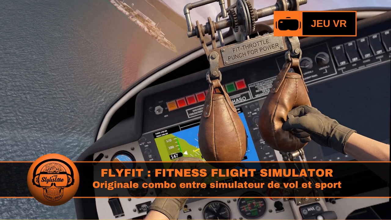 FlyFit Fitness Flight Simulator