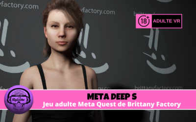 Meta Deep S simulation VR adulte personnalisable Meta Quest