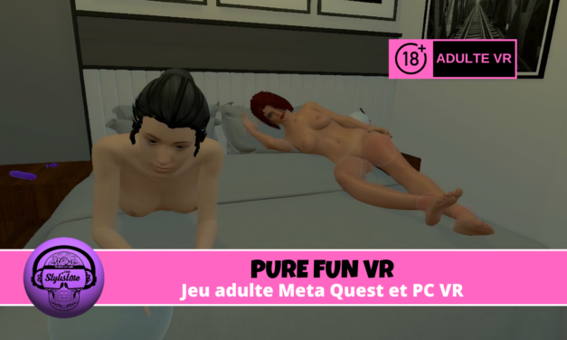 Pure Fun VR simulation physique VR adulte Meta Quest Steam