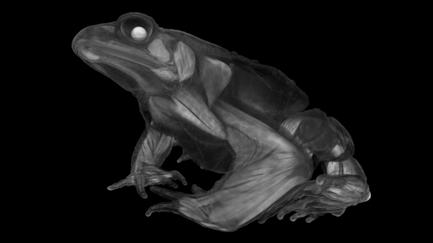 Tomography VR avis