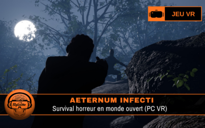Aeternum Infecti : survie en monde ouvert pour PC VR