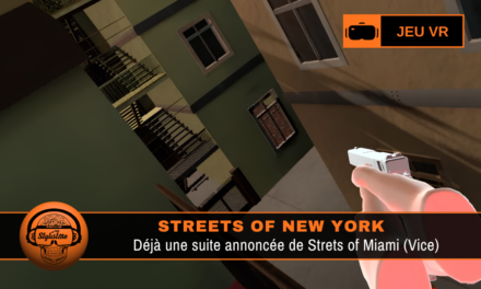 Streets of New York VR : affrontements de gangs sur Meta Quest
