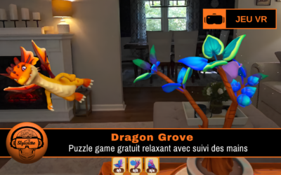 Dragon Grove : puzzle VR gratuit relaxant sur Meta VR Glasses