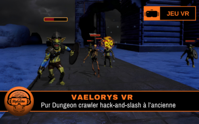 Vaelorys : dungeon crawler hack-and-slash VR